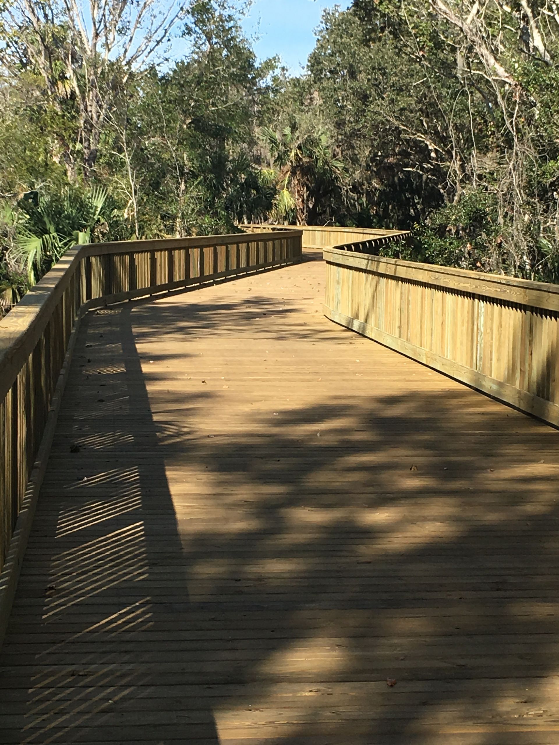 Wooden boardwalk winding through a sunlit wooded area, with railings on both sides.