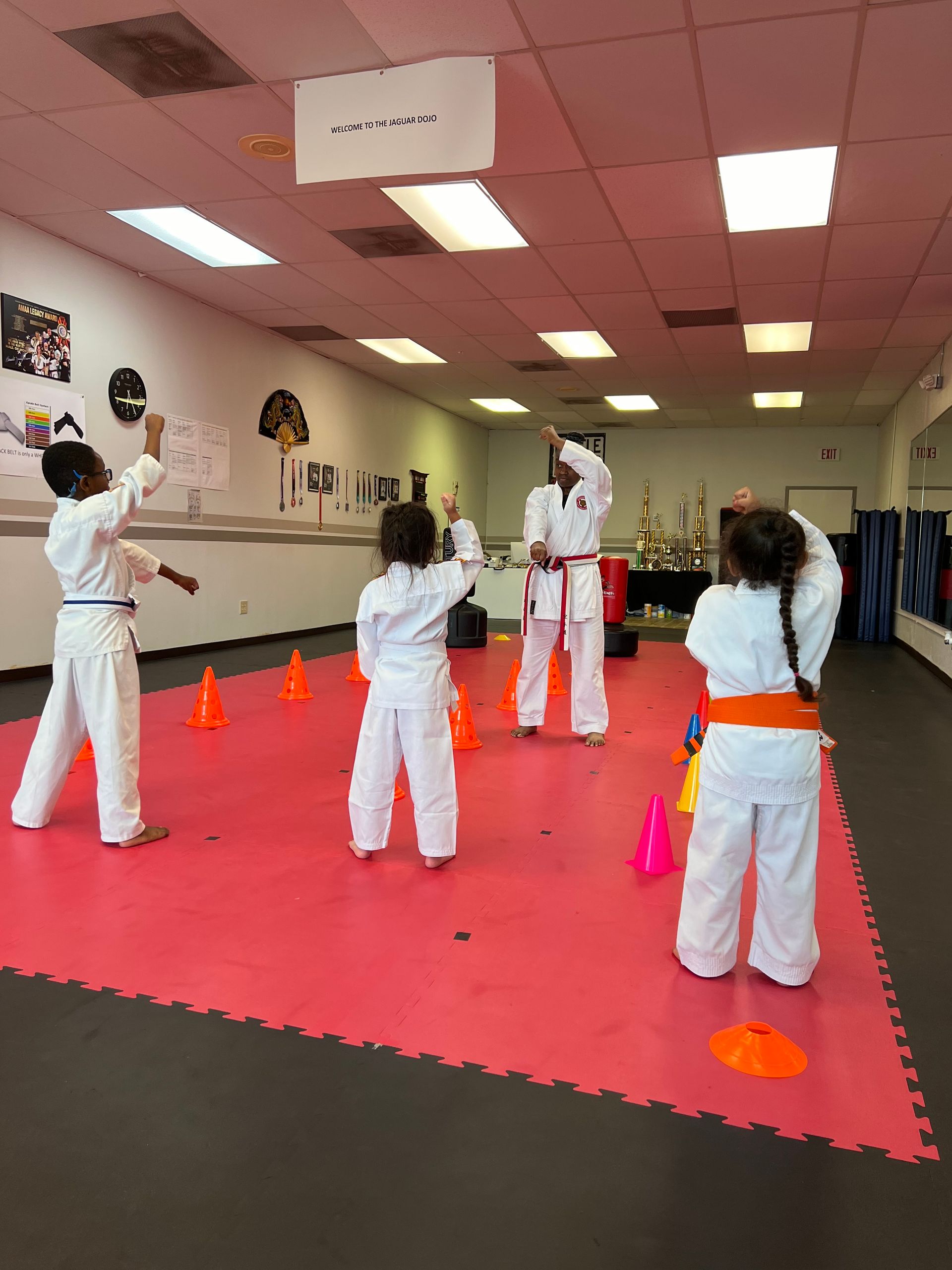 Martial arts class with instructor and students practicing kicks on red mats in a studio