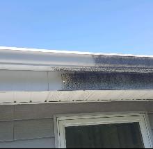 Power Washing Gutters and Soffit