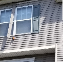 Siding Repair