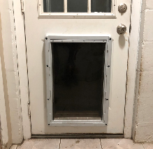 Exterior Doggie Door
