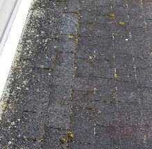 Power Wash Roof