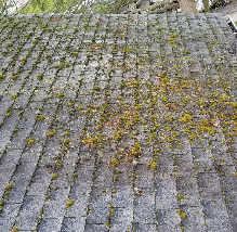 Power Wash Roof