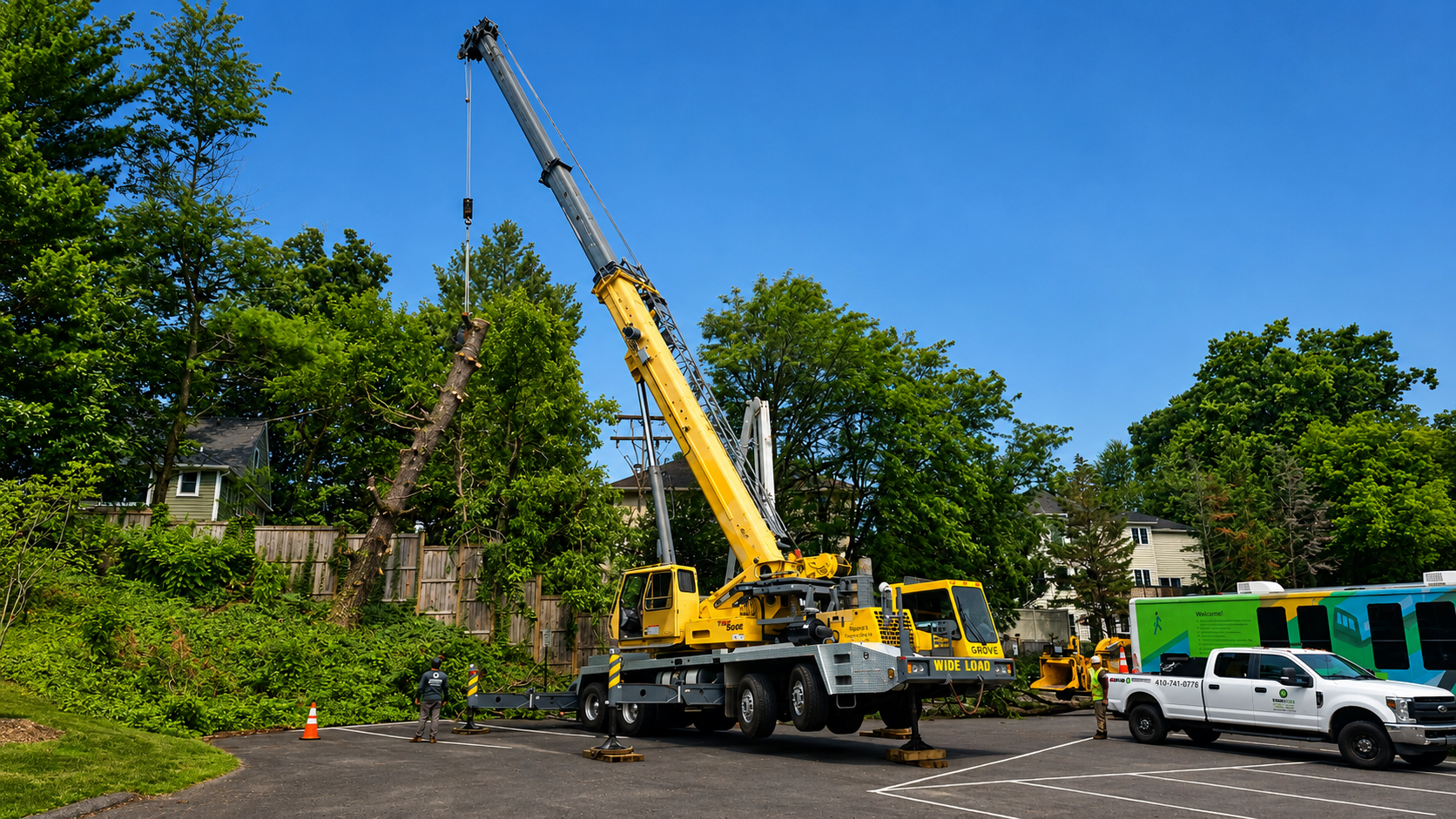 Yellow crane lifting a tree beside parked trucks on a sunny street with green trees and a stone wall