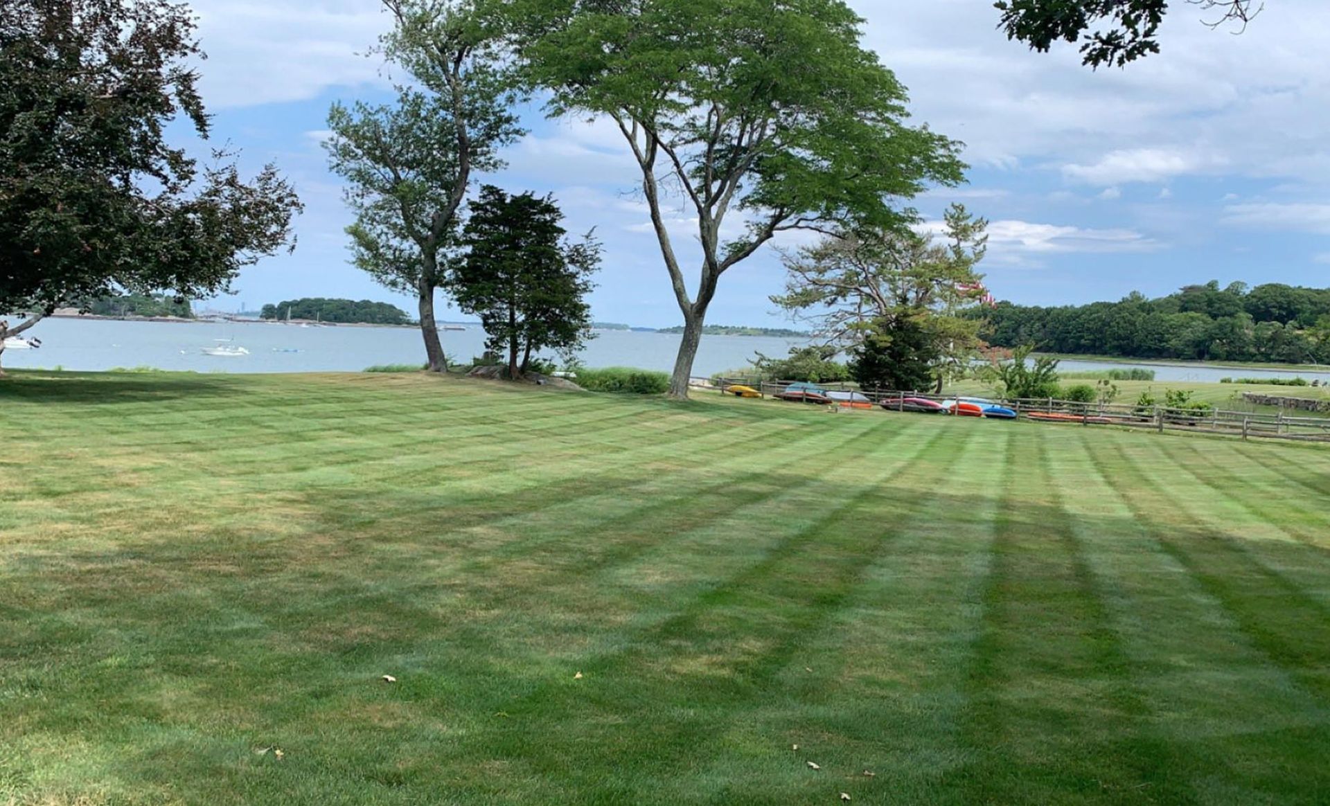 A lush green field with trees and a body of water in the background.