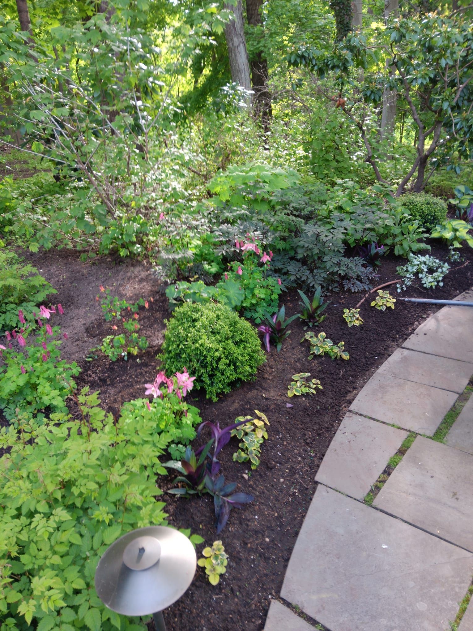 A garden bed with a variety of green plants, small pink flowers, and a metallic landscape light, bordered by a stone path.