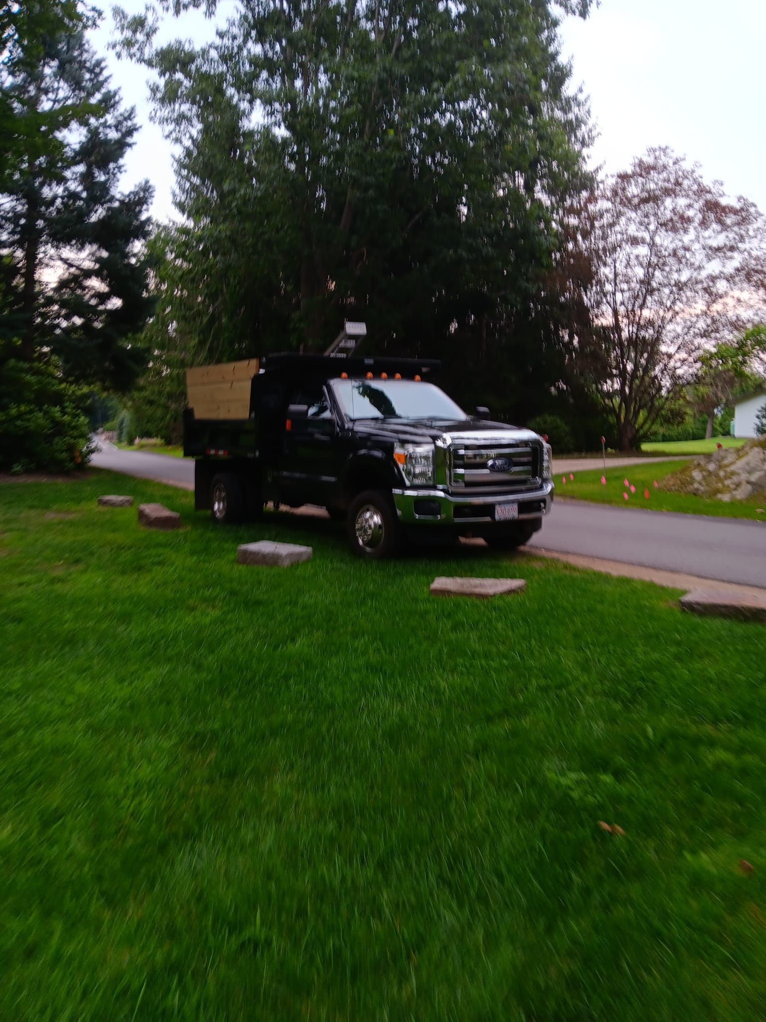 A black Ford dump truck parked on a grass lawn next to a paved road in a residential or wooded area.