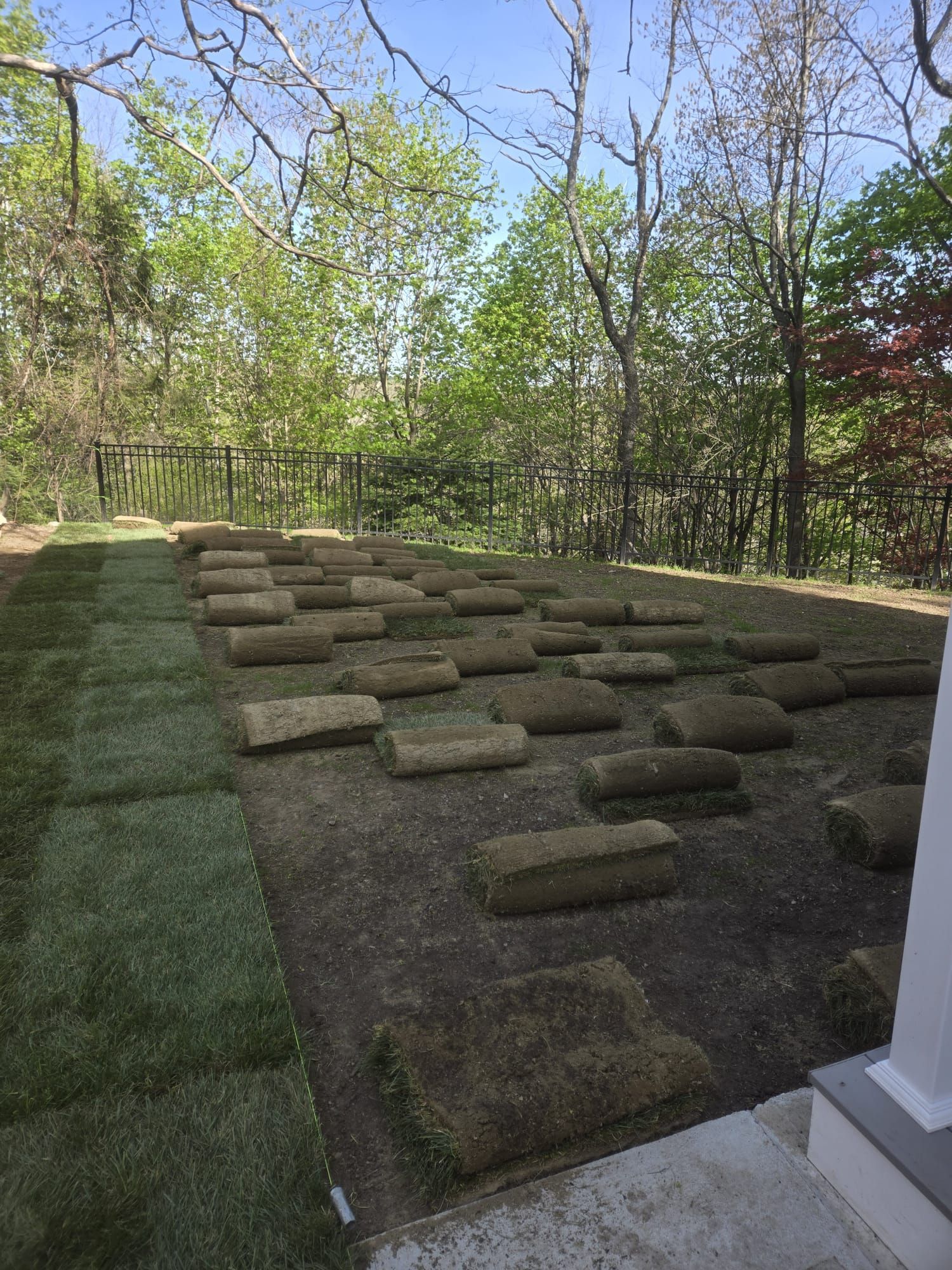 A yard with freshly laid sod strips on the left and scattered, uninstalled rolls of turf across the soil.