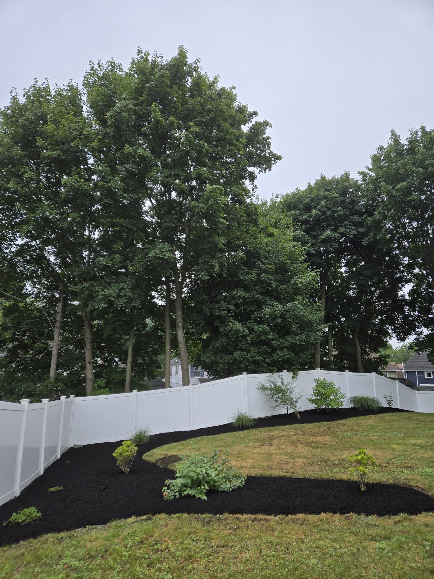 A white vinyl fence borders a backyard with a fresh, curved bed of dark mulch, young green shrubs, and mature trees behind.