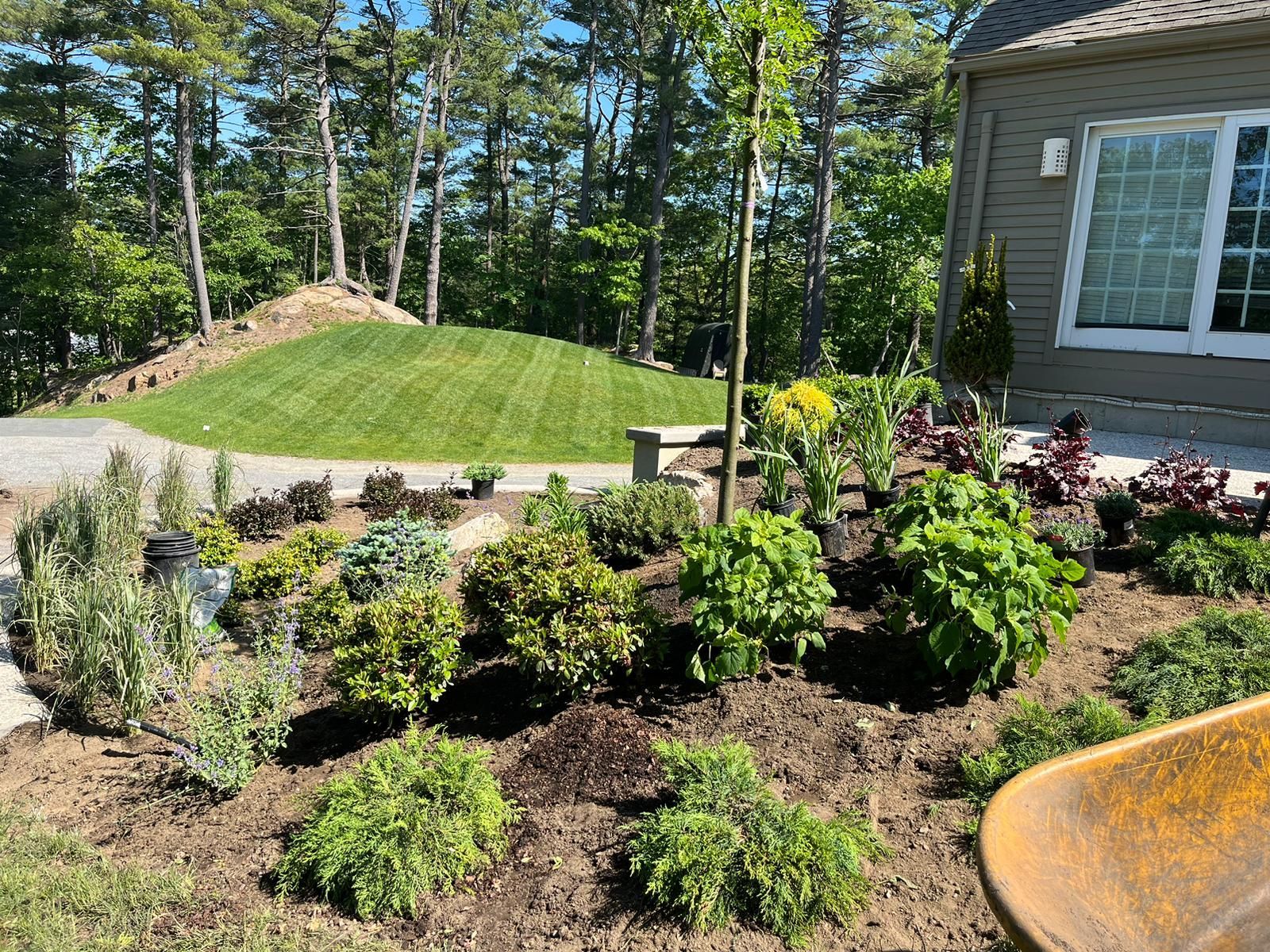 A variety of green shrubs and plants in a mulched garden bed next to a house, with a grassy hill and trees in the background.
