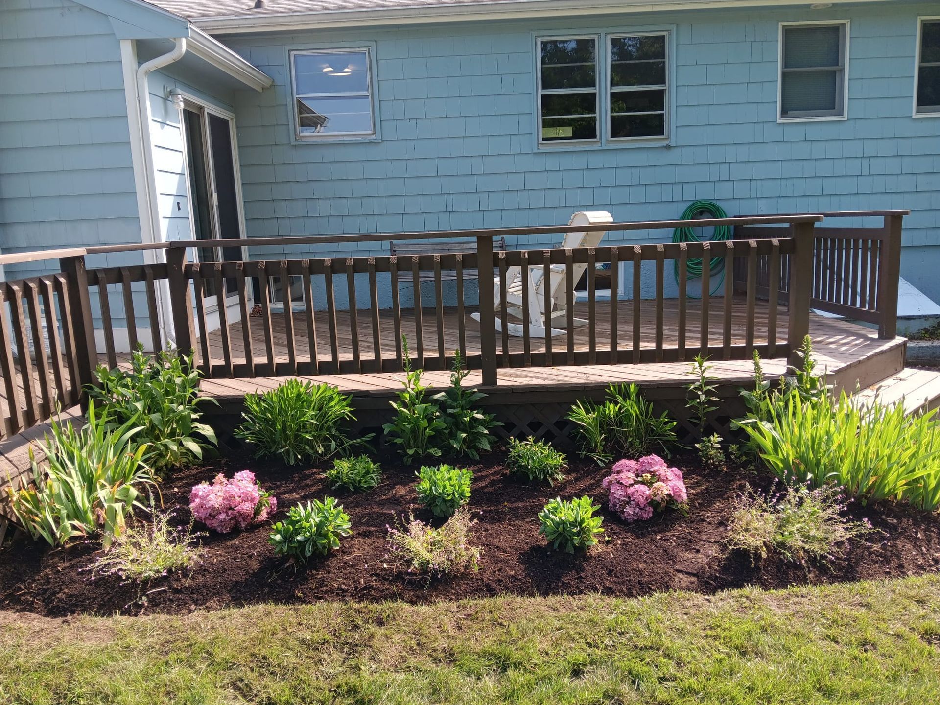 A brown wooden deck with a railing sits in front of a blue house, featuring a garden bed with hydrangeas in the foreground.
