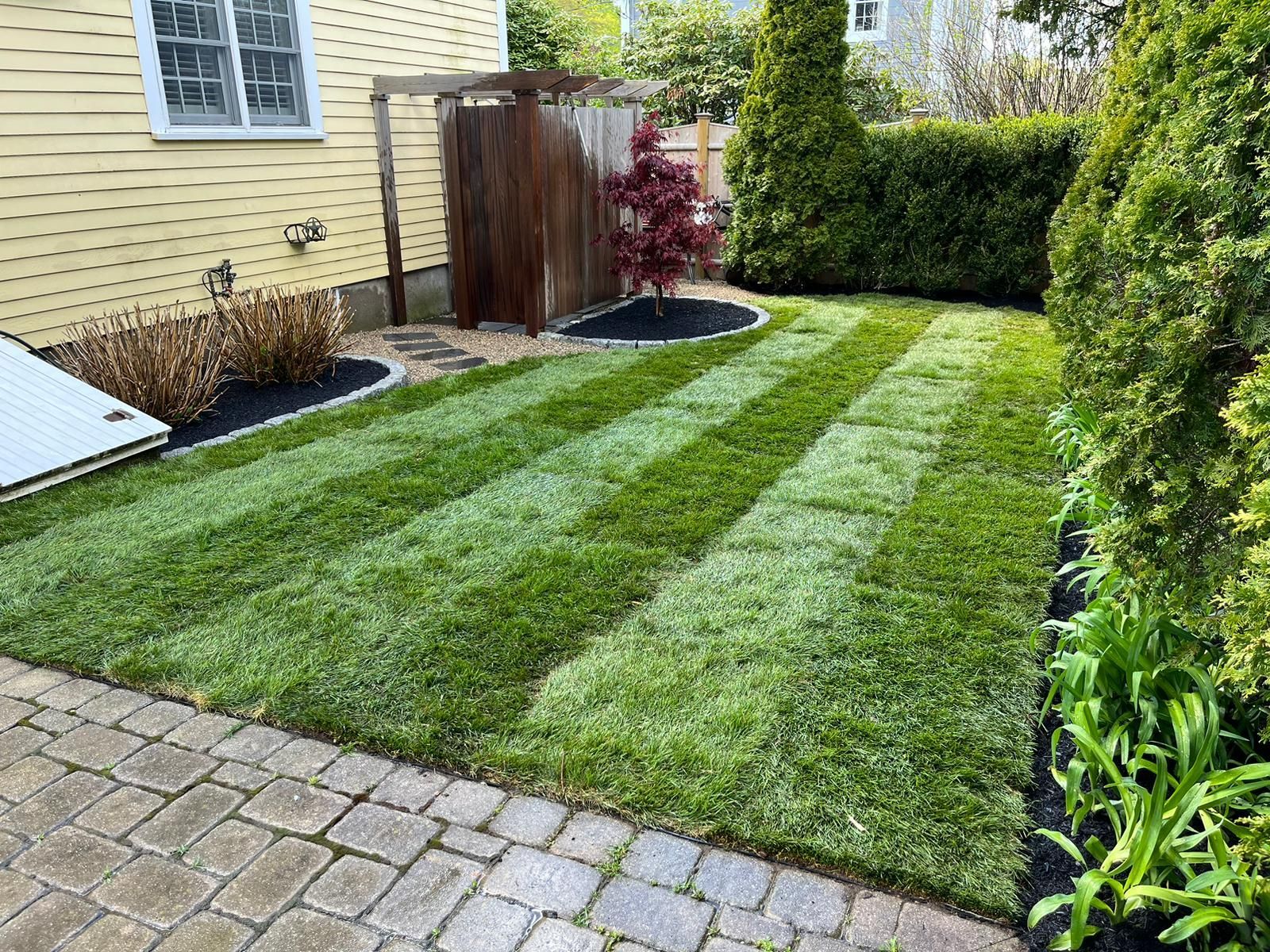 A neatly mowed lawn with distinct stripes, adjacent to a beige house, a stone patio, and a small Japanese maple tree.