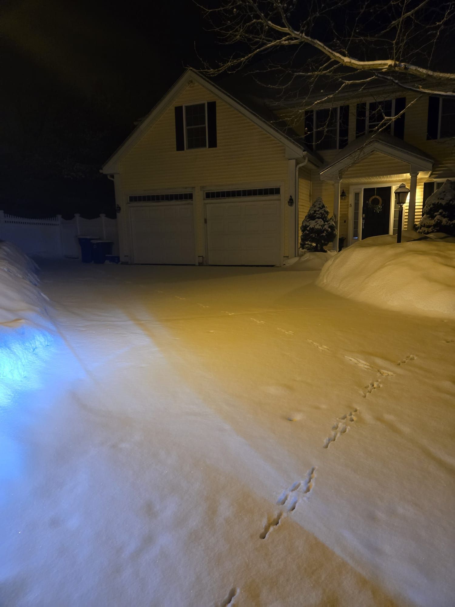 A house at night with a snow-covered driveway, featuring tire tracks and animal prints in the fresh snow.
