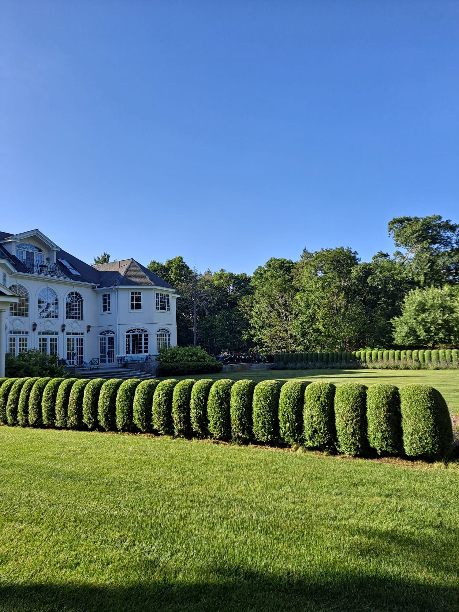 A large white house sits behind a long, meticulously manicured hedge in a green lawn under a clear blue sky.