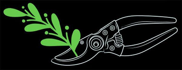 White line-art illustration of pruning shears cutting a stylized green leafy branch against a black background.