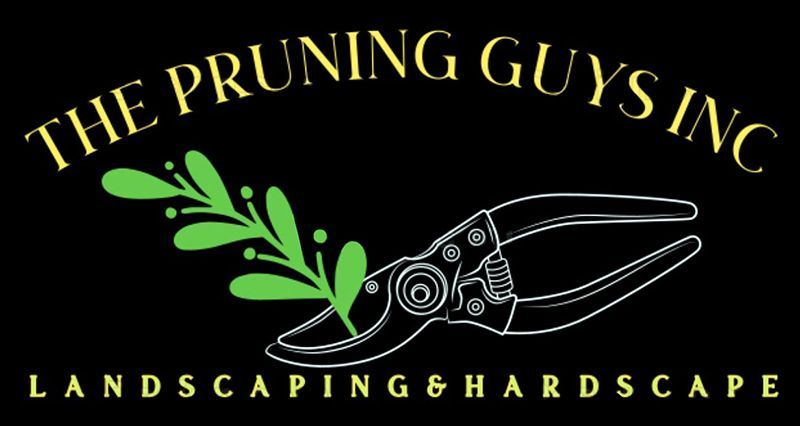 A black logo with gold text "THE PRUNING GUYS INC" above a white line drawing of pruning shears holding a green sprig.