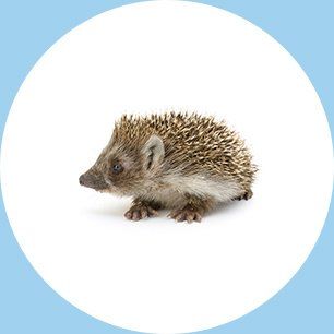 Baldy View Animal Hospital La Verne Ca