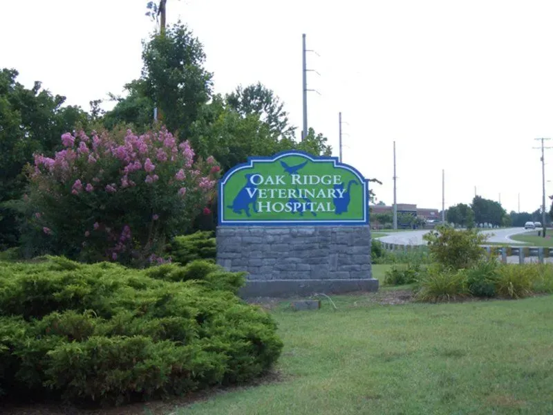 Sign for Oak Ridge Veterinary Hospital; features blue, green, and white lettering, plus dog and cat silhouettes, on a stone base, near greenery.
