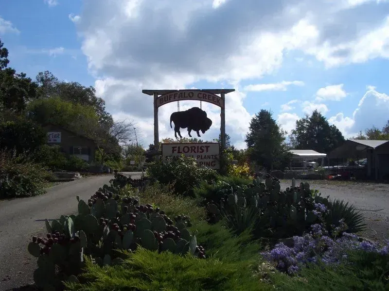 Sign for Buffalo Gap Florist and Plant Farm with bison silhouette.