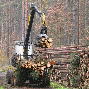 Timber Production Cleaner