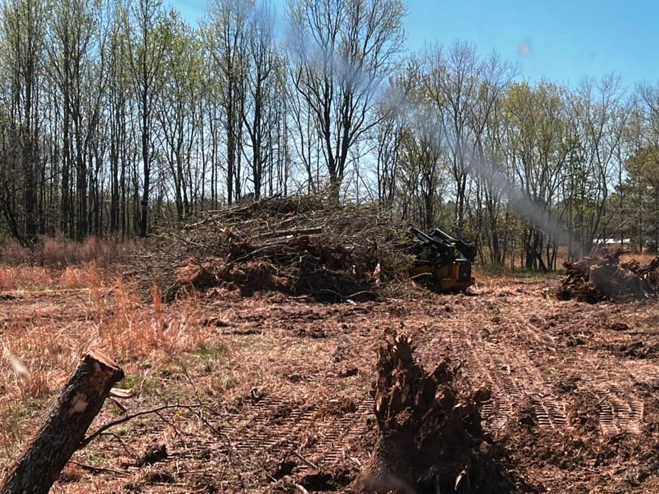 A pile of logs in a field with trees in the background
