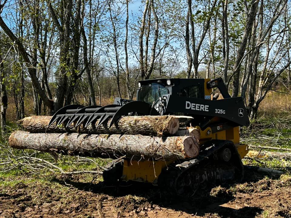 A deere tractor is carrying logs in the woods.