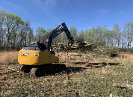 A yellow excavator is cutting down trees in a field.