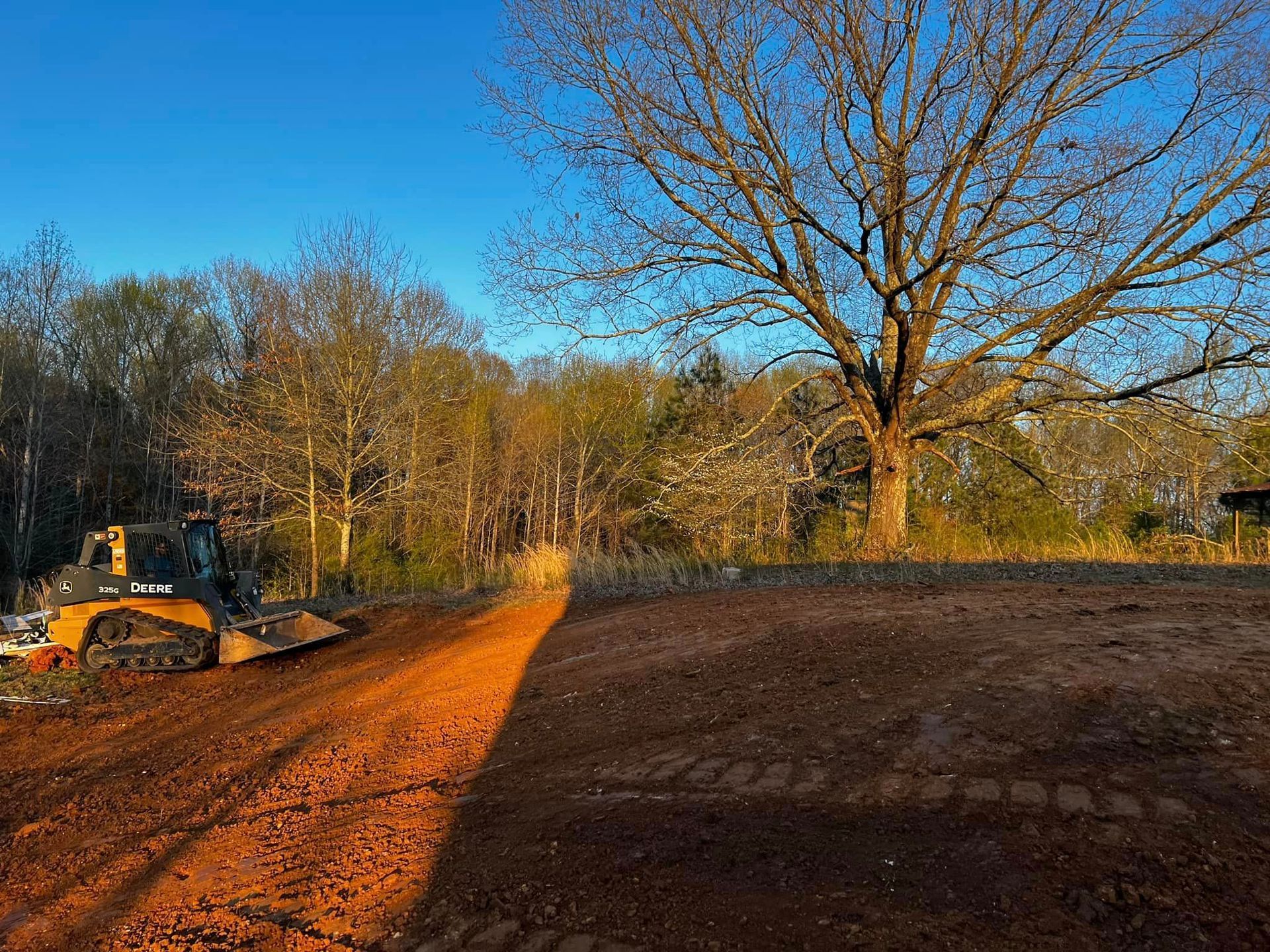 A bulldozer is driving down a dirt road next to a tree.