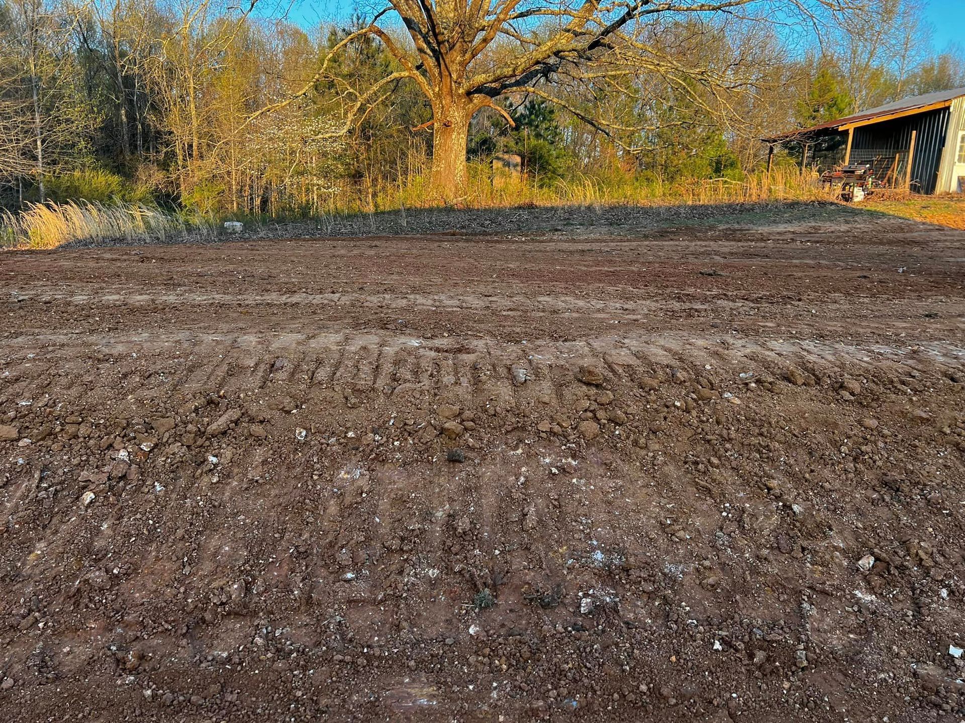 A large dirt field with a tree in the background.