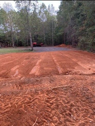 A dirt road in the middle of a forest with trees in the background.