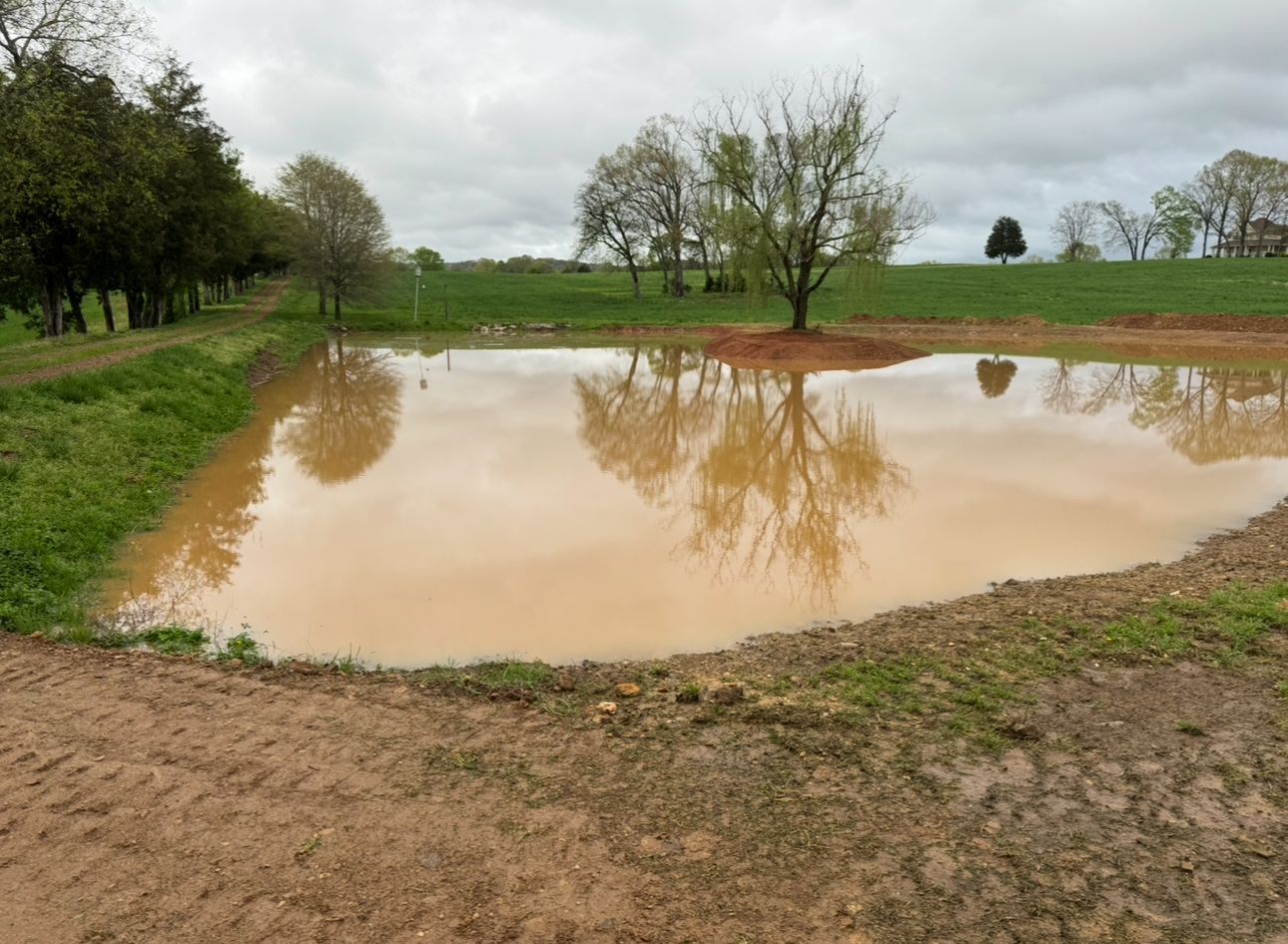 Muddy pond reflecting trees and overcast sky.