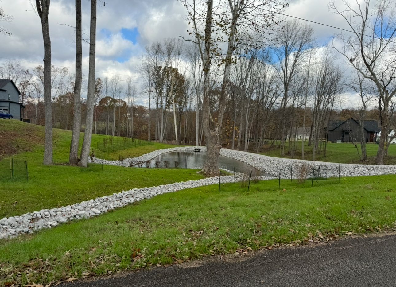A grassy slope with a creek bed lined with rocks, trees, and cloudy sky. Houses are in the background.