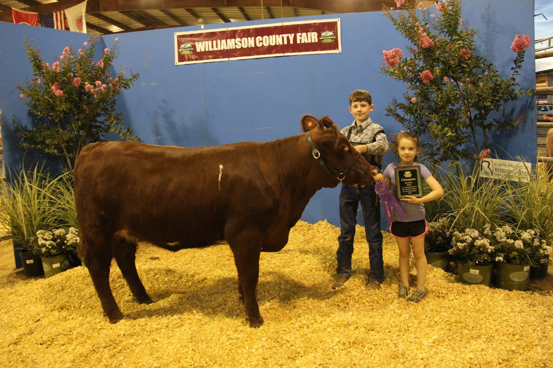 Poynor Septic Service l Photo Gallery Franklin, TN