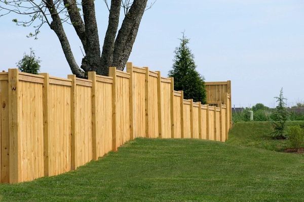Wooden fence along a grassy yard, under a tree on a sunny day.