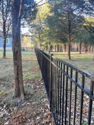 Black metal fence running through a grassy area lined with trees on a sunny day.