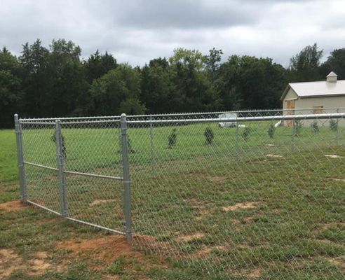 Chain link fence encloses a grassy yard with a small building and trees in the background.