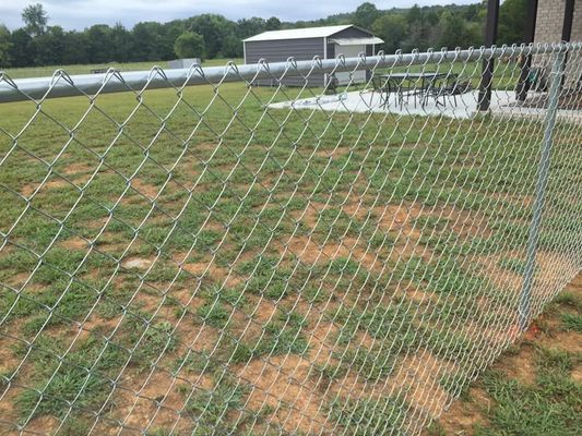 Chain-link fence enclosing a grassy yard, with a building and trees visible in the background.