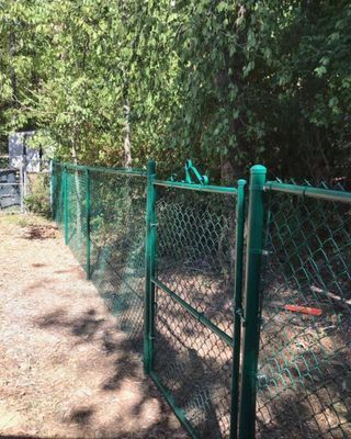 Green chain-link fence with an open gate, bordering a wooded area.