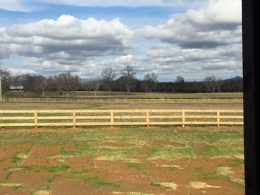 Landscape view with light-colored wooden fence, green field, trees, and cloudy sky.