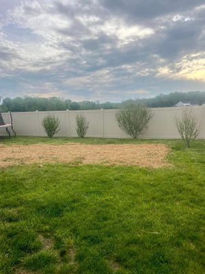Backyard with a white fence, patchy brown area, green grass, and small trees. Overcast sky.