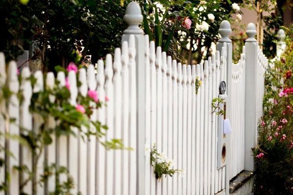 White picket fence with roses.