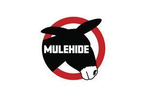 Black donkey head with