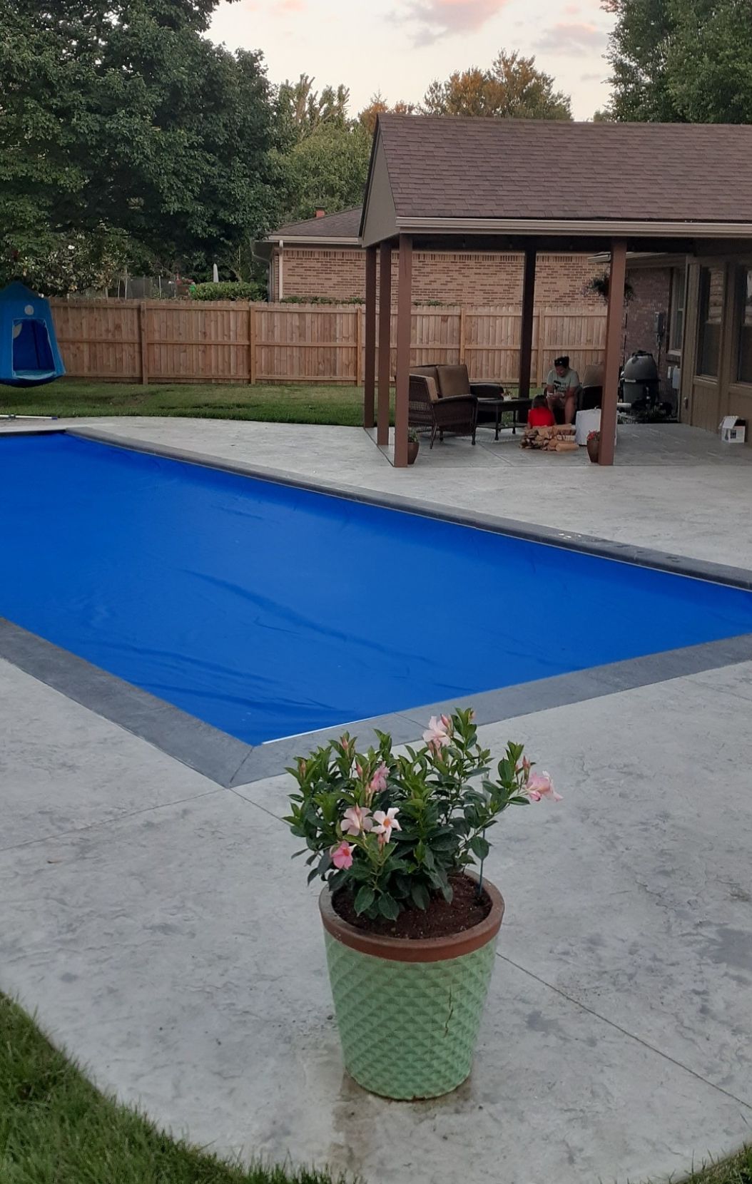 A swimming pool with a blue cover and a potted plant in front of it.