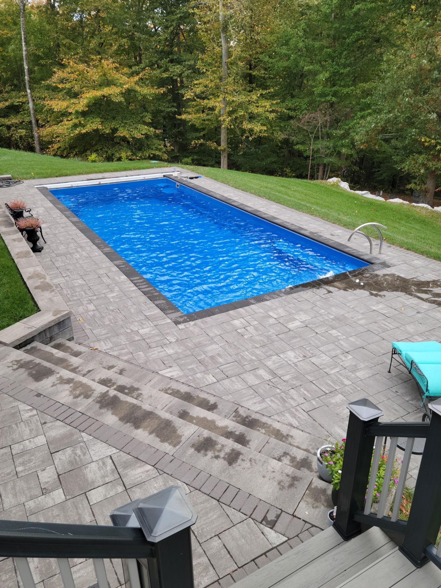Rectangular blue swimming pool surrounded by gray pavers and greenery. Sunny day.