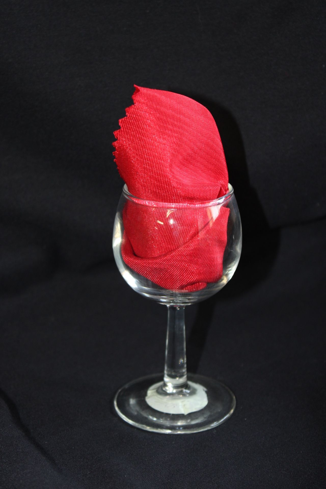 A wine glass with a red napkin in it