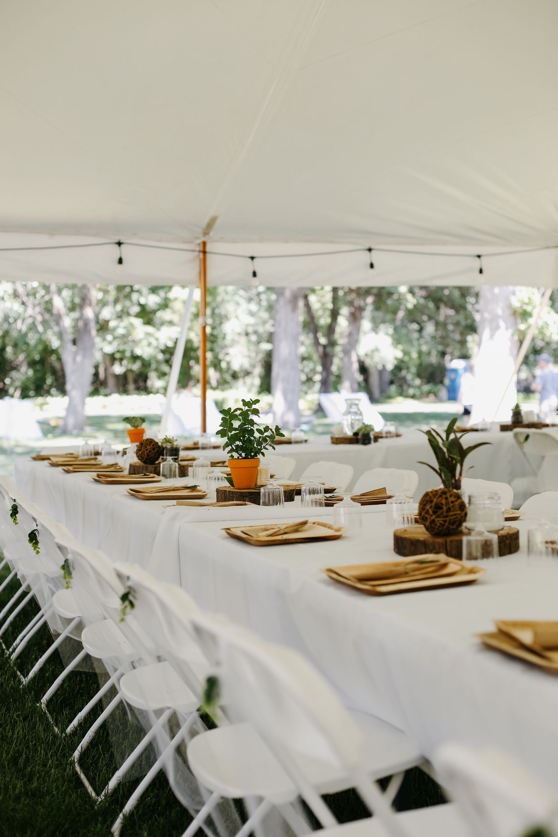 A row of long tables and chairs under a tent.