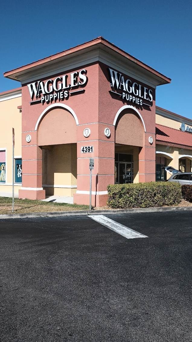 A pink, corner storefront building named Waggles Puppies under a clear blue sky.