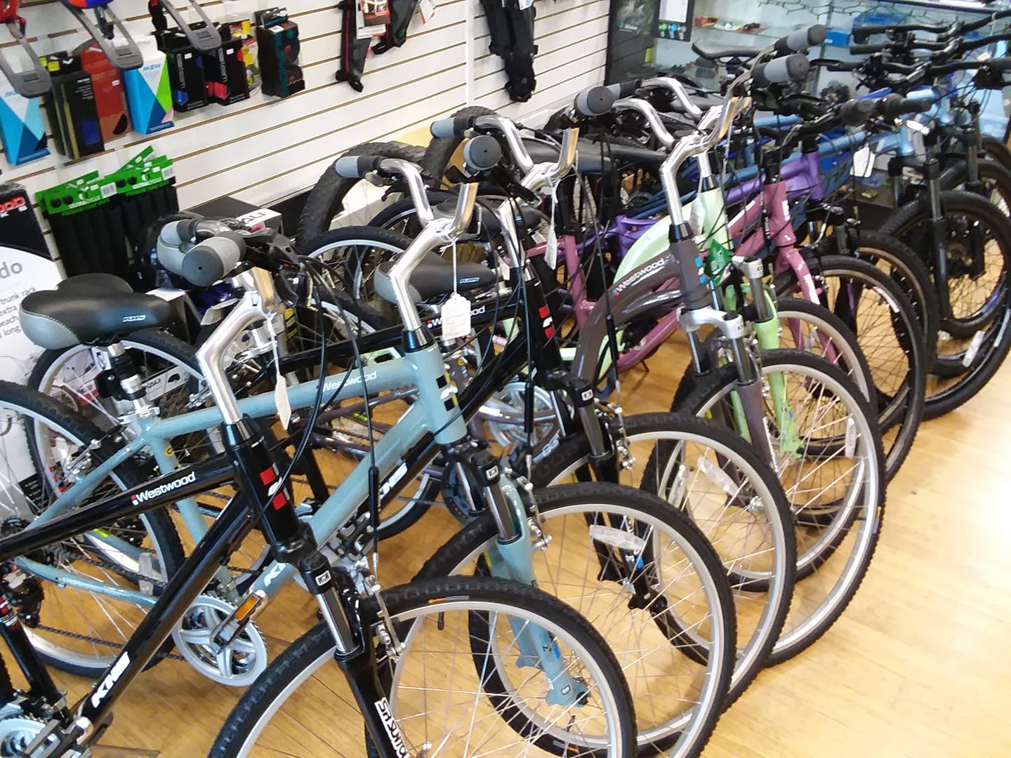 Endless Trail Bike Shop bikes display