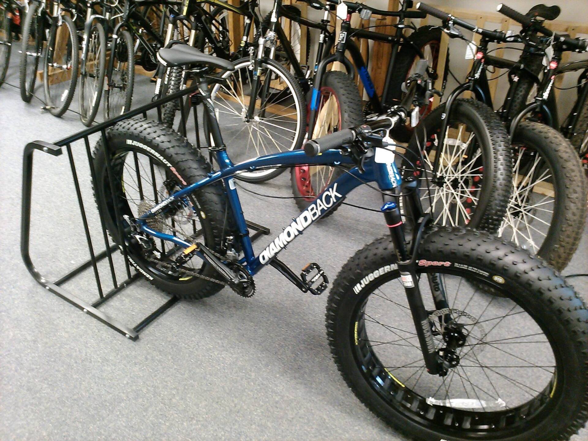 Endless Trail Bike Shop bike display