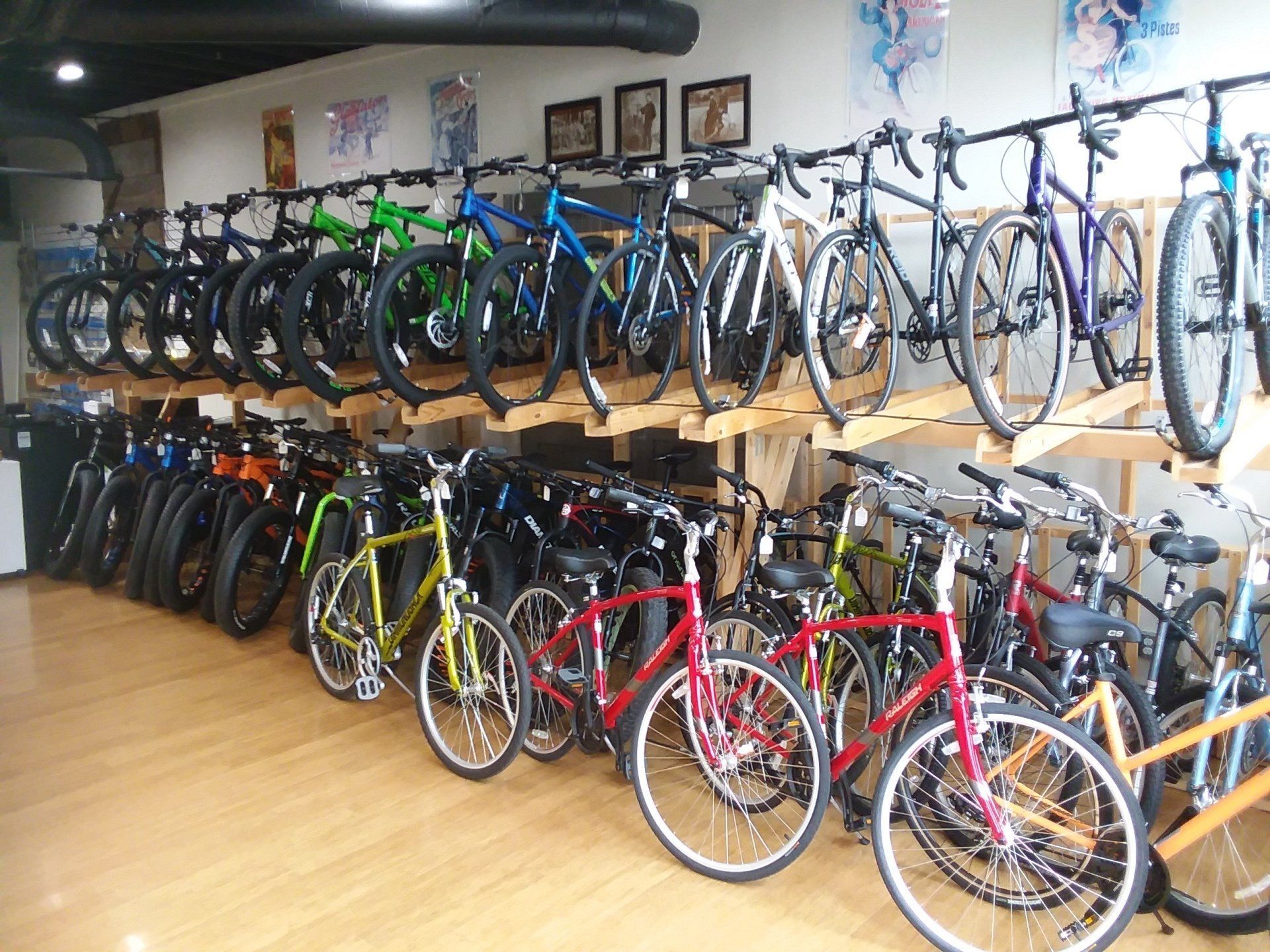 Endless Trail Bike Shop bikes display